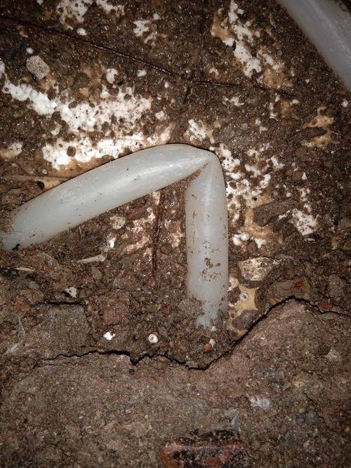 子洲堵点精准查找